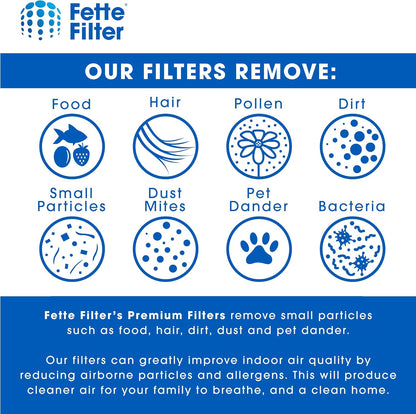 Fette Filter Pack of 4 - Activated Carbon Filter for HoMedics TotalClean PetPlus, Compare to AT-PET01, AT-PET02