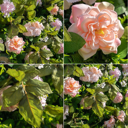 Artificial Luxury‌ Flower Wall Panels, Gorgeous 3D Silk Floral Backdrop for Wedding, Baby Show, Party and Home Decor, Quick Assembly/Storage, Both Eco ＆ Pet Friendly