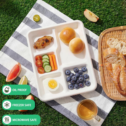 WELLIFE 125 Pack Kids Small 5-Compartment Paper Plates, 10.25x8.25 Inch 100% Compostable Divided Plates, Disposable School Lunch Trays, Eco-Friendly Bagasse Plate for Boys Girls and Youth (BPA Free)