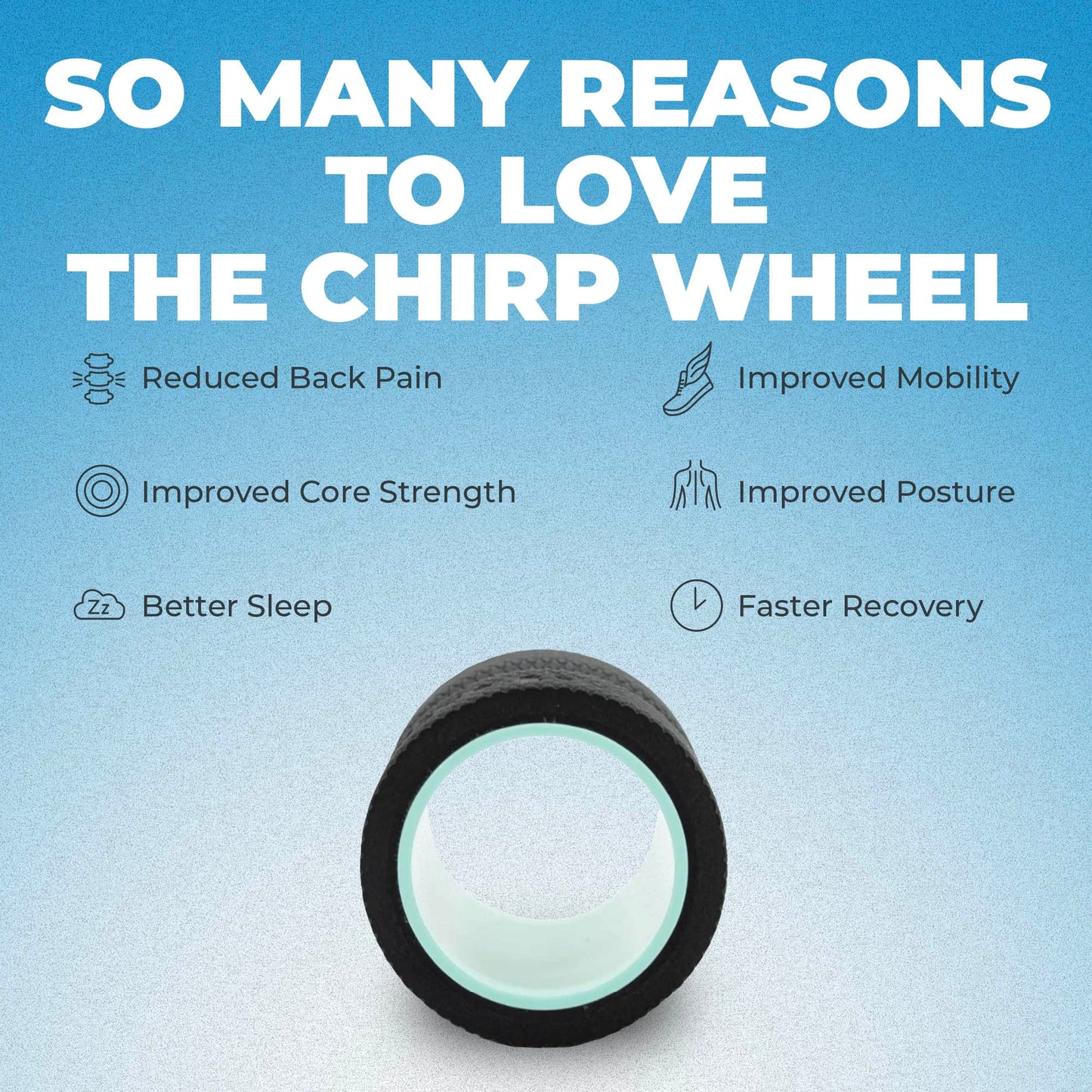 Chirp Wheel Foam Roller – Targeted Back & Neck Relief, Lumbar Spine Stretcher, Spinal Decompression Back Stretcher, Massage Roller with Density Foam for Physical Therapy, Supports 500lbs, 2-Inch Mint