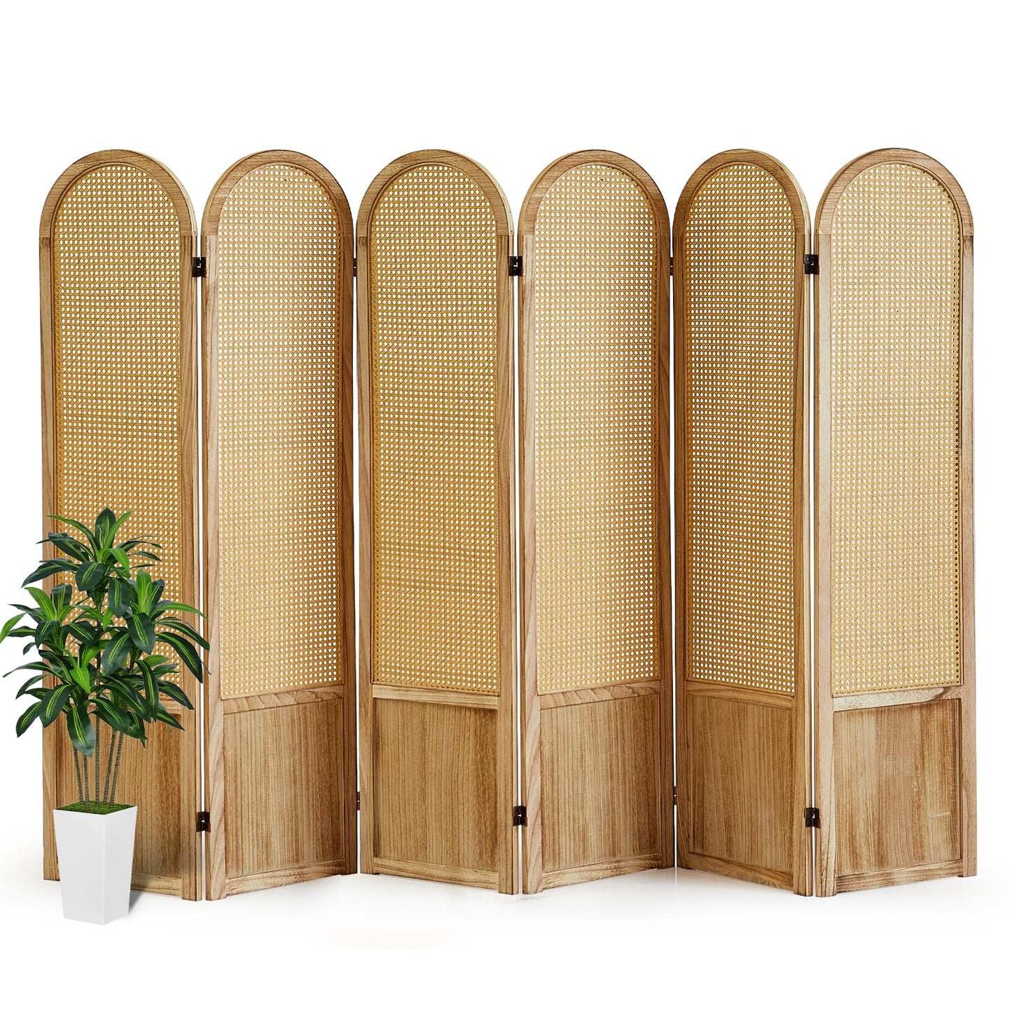 Asnefeli 6 Panels Room Divider, Folding Privacy Screen, Foldable Wood Rattan Room Divider Panel, Portable Partition Screen Wall Divider for Room Separation Bedroom Home Office Garden Terrace (Natural)