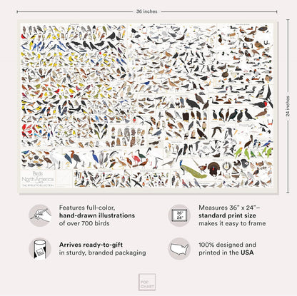 Pop Chart Birds of North America Large-Format Poster, 36" x 24", Illustrated Wall Decor for Nature Lovers