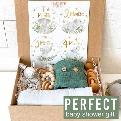 Hadley Designs 20 Monthly Baby Milestone Stickers-Elephant Baby Monthly Milestone Stickers, Newborn, Photo Props