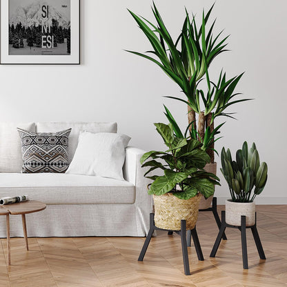 Set 2, PS-007BK-2 Adjustable Plant Stands of Metal Small Plant Holder, Heavy Duty Stable Flower Holder Stand Rack