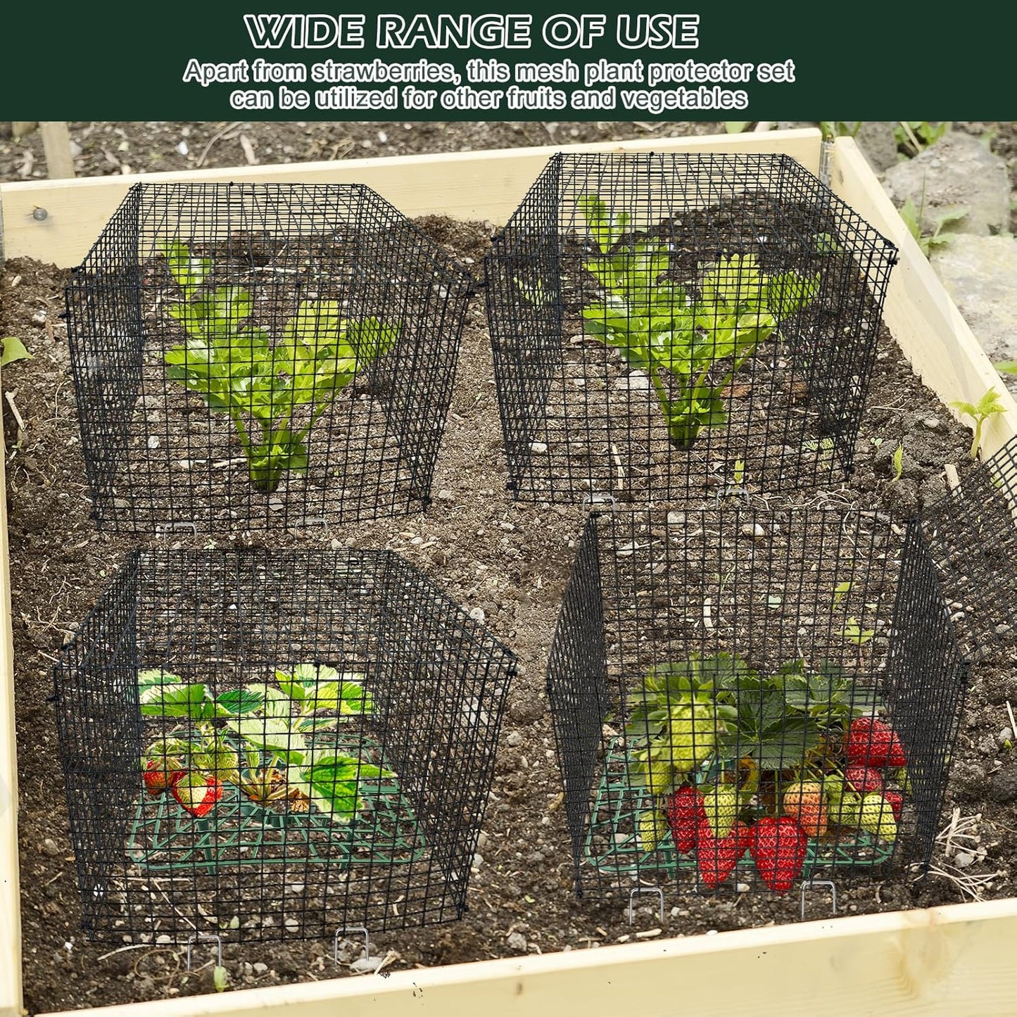 4 Sets 12x12Inch Upgraded Strawberry Supports with Wire Plant Protectors from Animal Sturdy Metal Wire Plant Cages Mesh