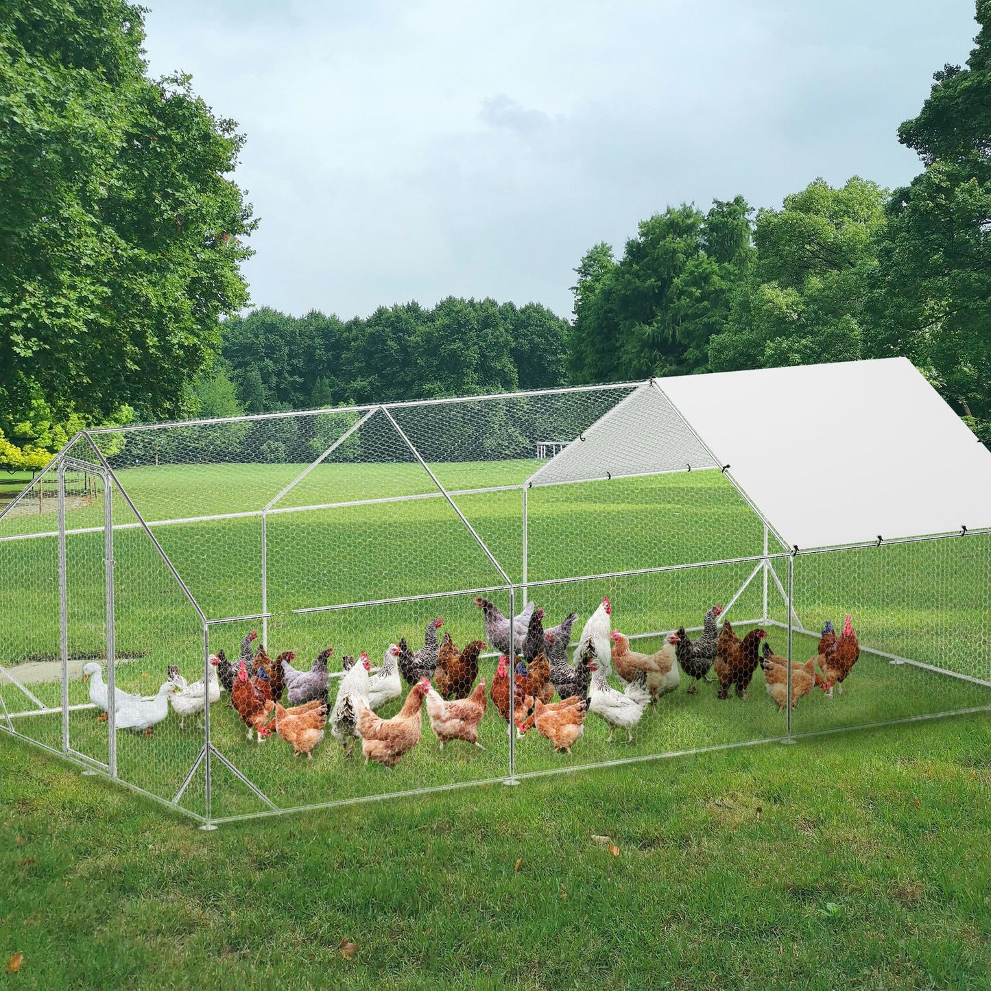 Large Metal Chicken Coop with Run, 9.8x19.7x6.6 Ft Walk in Chicken Runs for Outdoor Backyard, Heavy Duty Poultry Pen with Security Lock & Anti-UV Cover, Tri-Supporting Wire Mesh