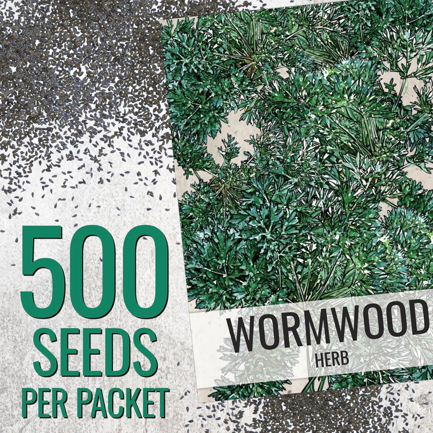 (1 Pack) Seed Needs Wormwood Seeds for Planting - Non-GMO, Heirloom & Untreated Perennial Herb - Medicinal Herbs
