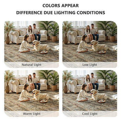 Yarooge 8x10 Area Rugs for Living Room - Washable Vintage Retro Large Rug, Soft Ultra Thin Non Slip Low Pile Traditional Distressed Boho Carpet for Bedroom Dining Room Home Office, Charcoal Olive