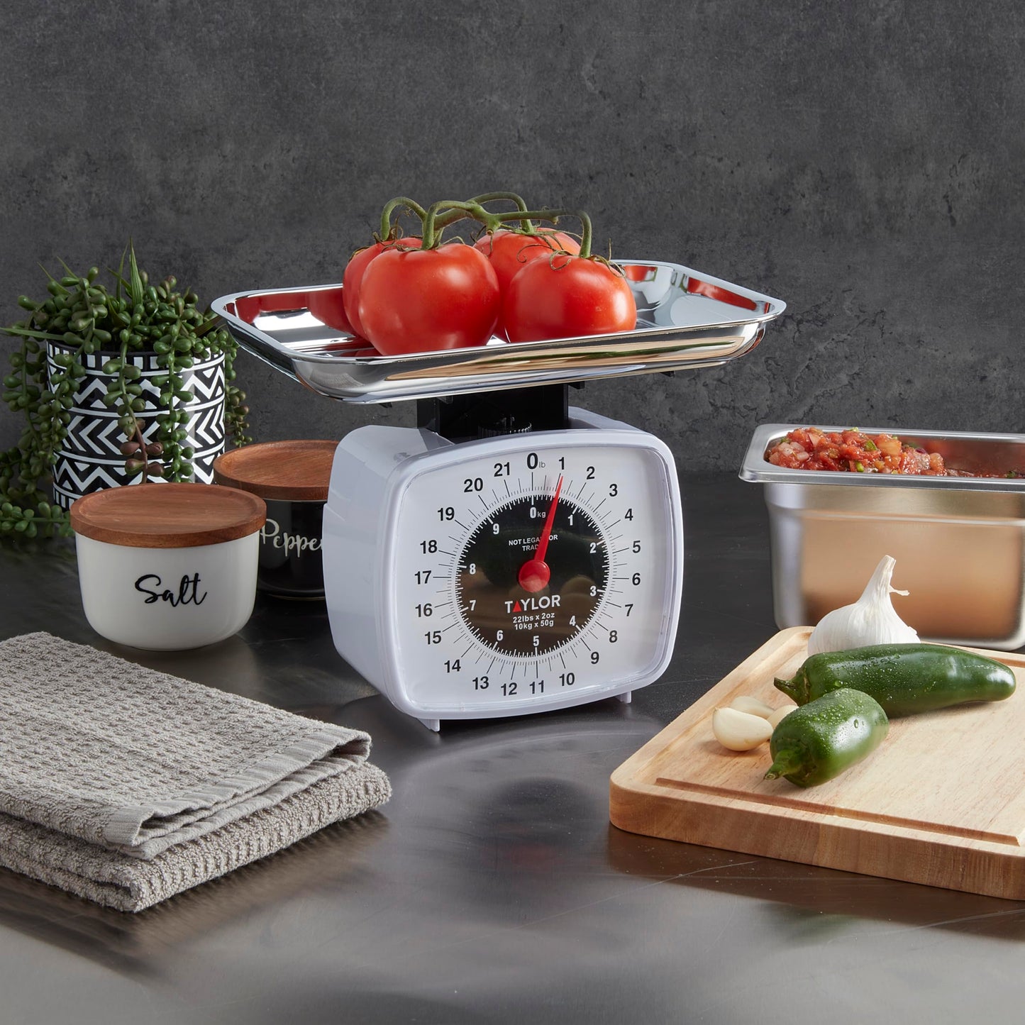 Taylor Analog Kitchen Scale Mechanical Food Scale, 22 lb Capacity, Multicolor
