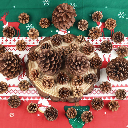 Wlicon 55 PCS Pine Cones Decorations Natural Pinecones, Large Medium & Mini Sizes Pinecones for Table Christmas Tree Crafts Gifts Thanksgiving Fall and Xmas Home Decor DIY Ornaments