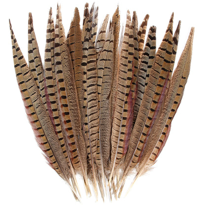20pcs Male Pheasant Feather Natural Ringneck Tails Feathers 12-14inch 30-35cm for Crafts Home Wedding Party Performance DIY Decoration Pheasant Feather,Male Pheasant Feathers