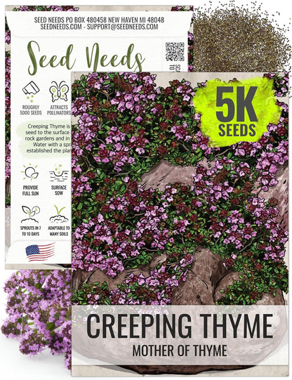 5,000 (1 Pack) Seed Needs, Mother of Thyme Creeping Thyme Seeds Seeds for Planting Thymus serpyllum - Perennial Flowers