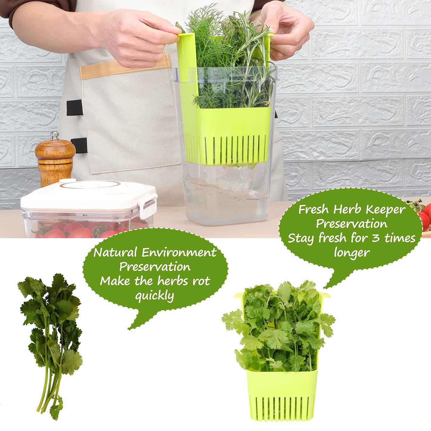 LAWNFUL 2 Pack Fresh Herb Keeper for Refrigerator, Clear BPA-Free Herb Saver, Storage Container for Cilantro, Parsley, Thyme, Mint & Asparagus, Preserver Keeps Fresh Herbs for 3 Times Longer