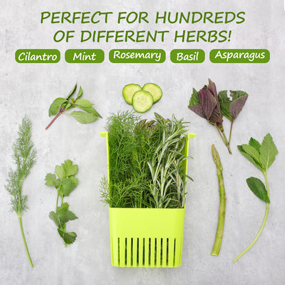 LAWNFUL 2 Pack Fresh Herb Keeper for Refrigerator, Clear BPA-Free Herb Saver, Storage Container for Cilantro, Parsley, Thyme, Mint & Asparagus, Preserver Keeps Fresh Herbs for 3 Times Longer