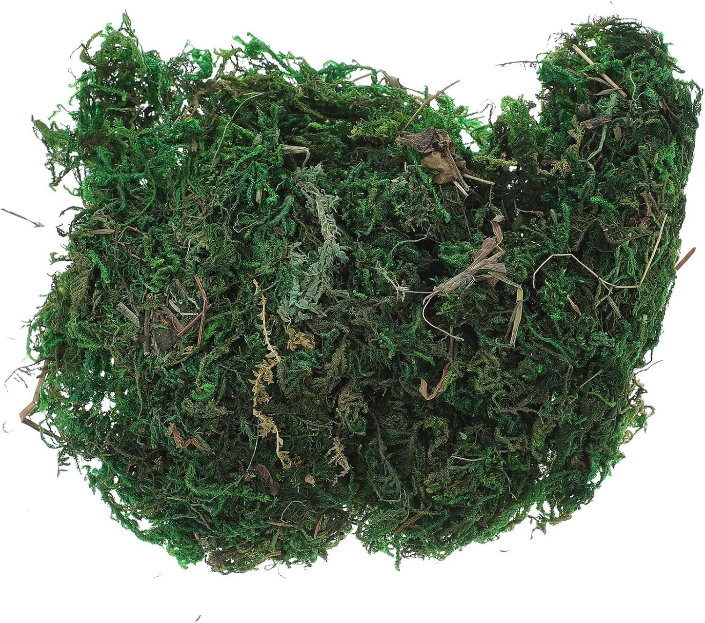 Garneck Artificial Moss Lichen - Simulation Fake Moss for DIY Green Decorative Potted Plants, 20g