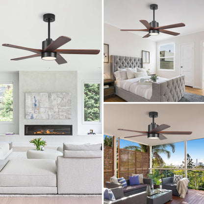 WINGBO 48 Inch DC Ceiling Fan with Lights and Remote Control, 5 Carved Solid Wood Blades, 6-Speed Noiseless Reversible DC Motor, Indoor Ceiling Fan in Matte Black Finish with Walnut Blades