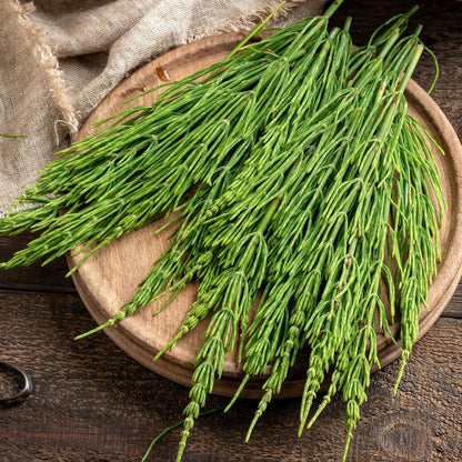 Horsetail 1lb Frontier Co-op Organic Cut & Sifted Herb