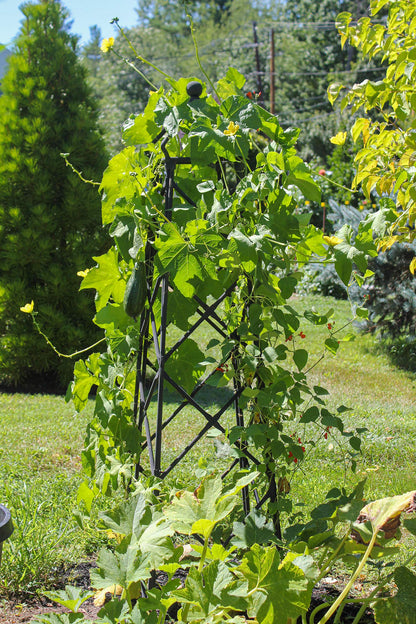 Achla Designs Lattice Obelisk Garden Trellis