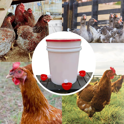 8pack (8) Large Poultry Waterer, Professional Chicken Water Cups for Poultry LANARP Float Style Gravity Chicken
