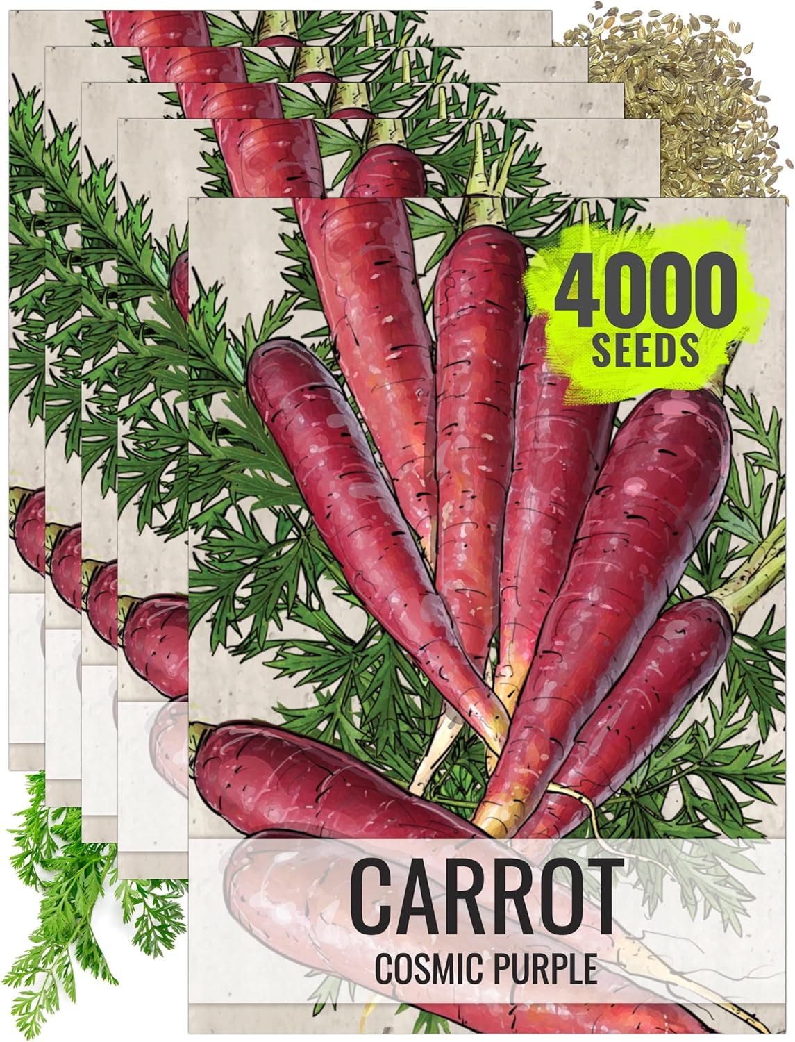 (5 Packs) Seed Needs Carrot Seeds for Planting Cosmic Purple Carrots - Non-GMO Heirloom & Untreated Vegetable Seed
