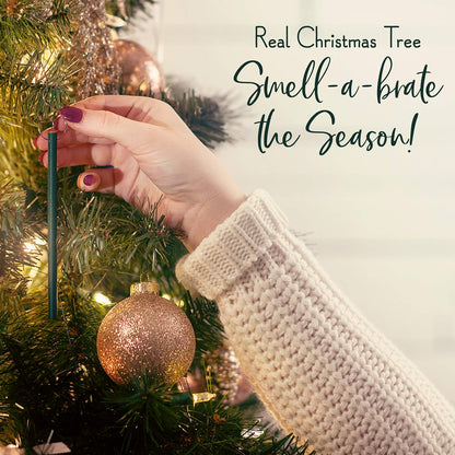 Scentsicles O Christmas Tree Bottle Bundle, Model: 01631-001T