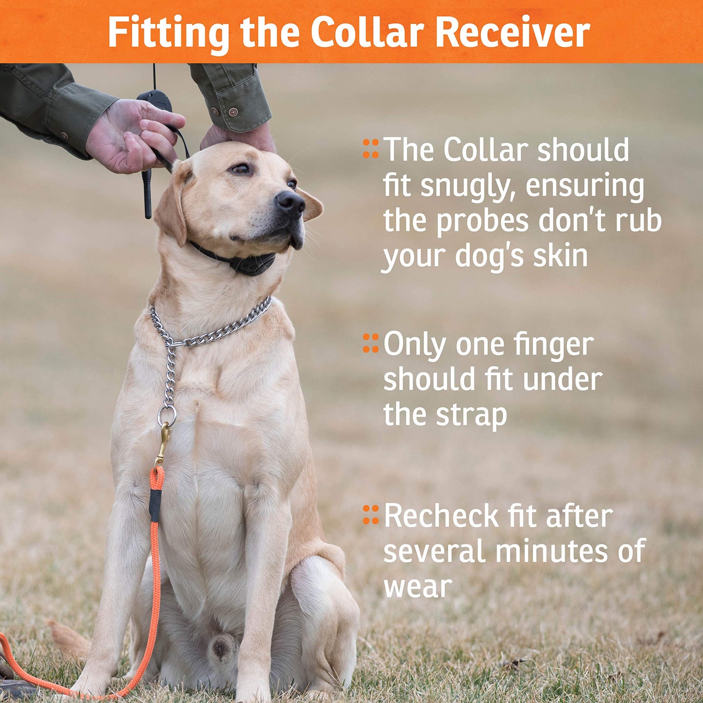 SportDOG Brand NoBark SBC-8 Bark Control Collar - Static Collar with Progressive Correction - Waterproof - Static Stimulation - Dogs 8 lbs & up