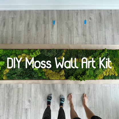 Prefleur Preserved Sheet Moss Natural Green Decorative Real Natural Green DIY Kit Gardenning Art Wall Decor Florist Decor Easter Table Decor Wedding 2 sq.ft.Green-B