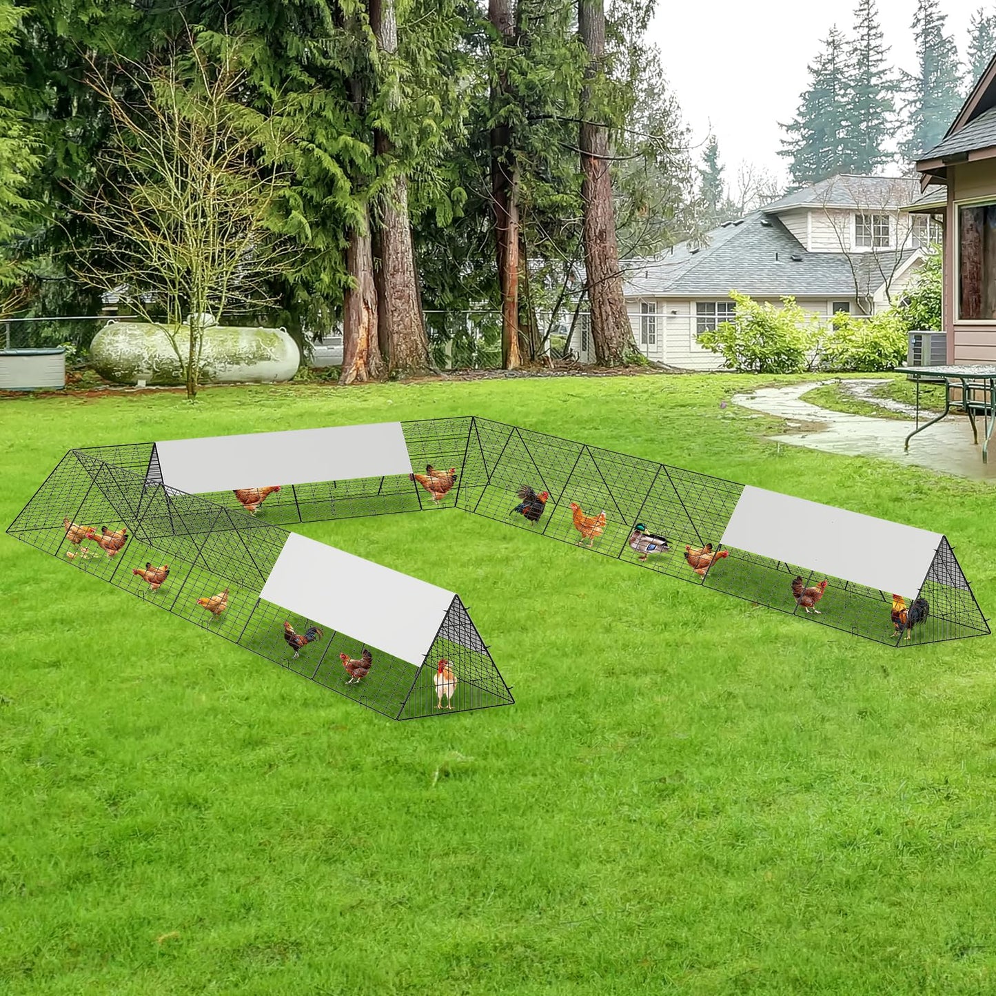 236.2" x 157.5" x 24.2" Chicken Tunnels for Yard, Portable Chicken Coop with Corner Frames, 2 Sets, Easy Installation, for Chickens, Ducks, Rabbits