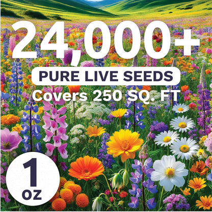 Pacific Northwest Regional Mix | Large 1 Ounce Packet of 24,000 Wildflower Seeds for Planting