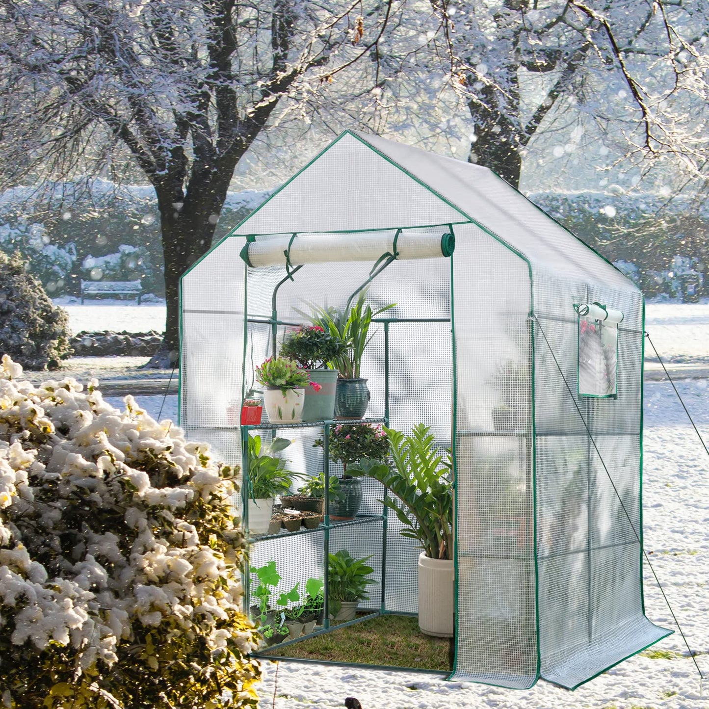 SV SCOOL VALUE Green Houses for Outdoors, PE Walk in Greenhouse with 2 Side Mesh Windows, Portable Green House with Anchors & Ropes Stands Up to Wind, 56"x56"x78" White