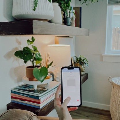 Feit Electric Smart Light Bulbs, 2.4Ghz WiFi Light Bulbs, No Hub Needed, Works with Alexa and Google, Dimmable 60 Watt = LED 9W, OM60/950CA/AG/3, 5000K Day Light, 3 Pack