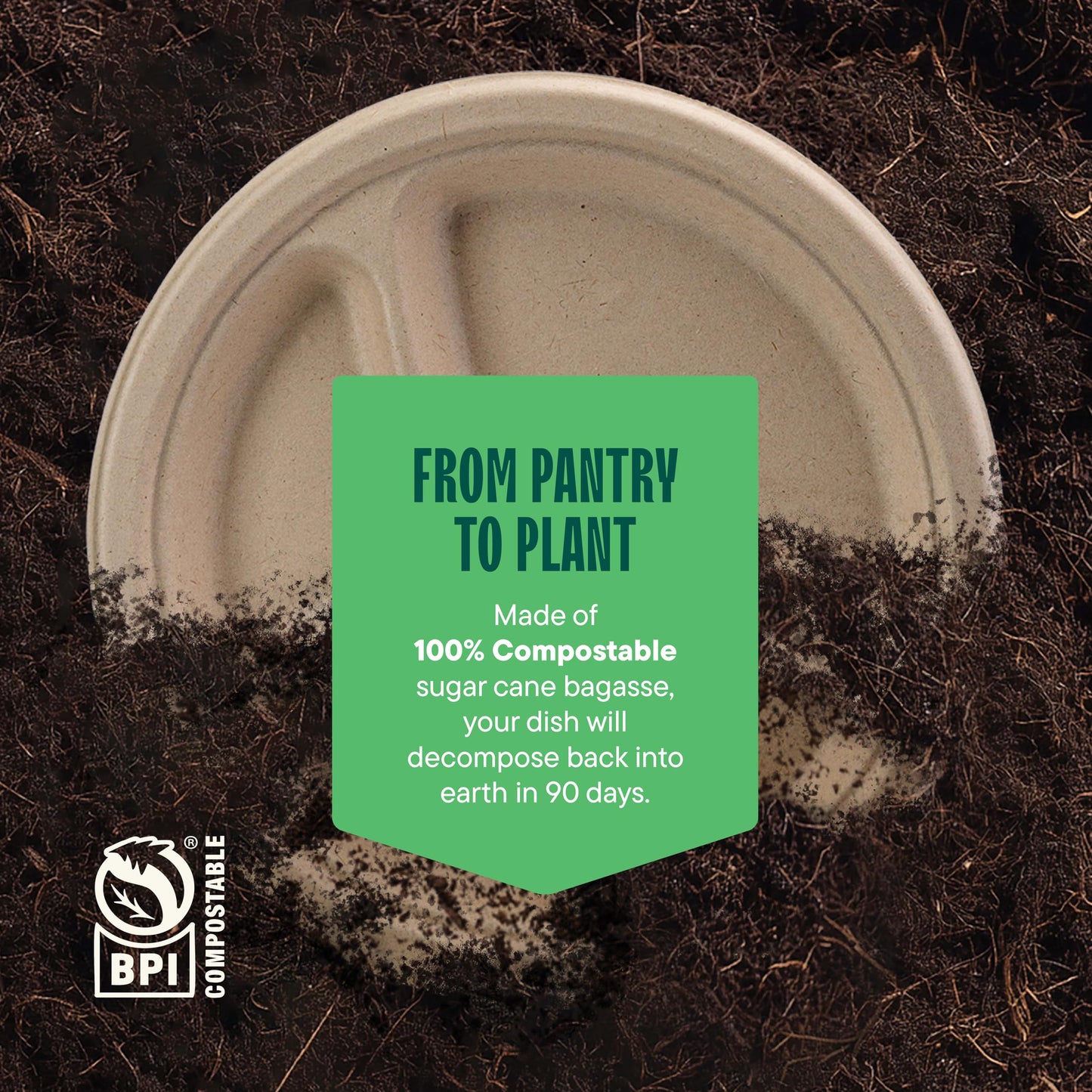100% Compostable, 3 Compartment, Disposable Paper Plates [125-Pack] - {PFAS Free} - {BPA Certified} - [9 Inch] Heavy Duty Biodegradable Bagasse Sectional Lunch Trays + Dividers - Divided Platte Tray