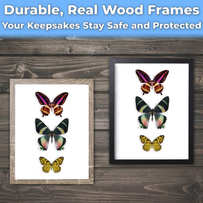 Super-Sturdy, 11x14 Gray Shadow Box Frame With Glass 2pk. Fill Large Rustic Wood Memory Box With Wedding Flowers, Jerseys, Pet Photos, Ticket Stubs, or Medals. Great Seashell Display Case