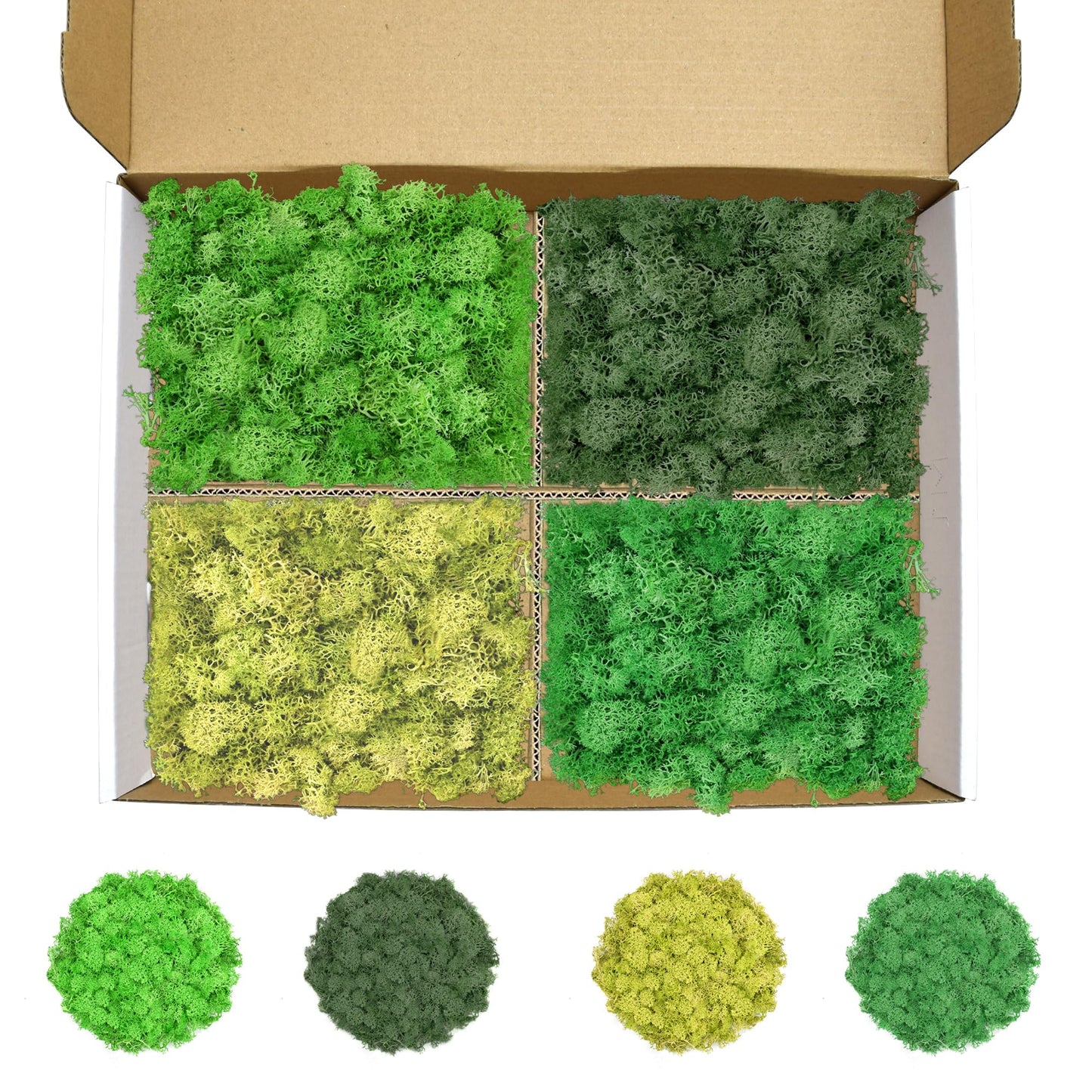 TCYPUHL Preserved Reindeer Moss Set, 14 oz, Green, Dark Green, Yellow Green and Emerald Green Craft Moss for Potted Plants, Fairy Gardens, DIY Wall Art, Floral Arrangements and Holiday Table Decor