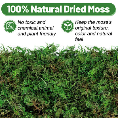 17oz Large Pack Natural Green Moss for Plants Indoor - Dried Forest Real Moss for Crafts, Artificial Fairy Gardens, Mosswall, Glass Terrariums, Floral Design, Home Decor