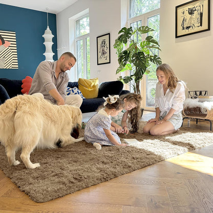 OLANLY 3x5 Soft Fluffy Shaggy Rug - Machine Washable Indoor Carpet for Living Room & Bedroom | Taupe