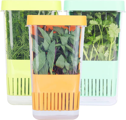 3 Pack Fresh Herb Keeper for Refrigerator, Clear BPA-Free Herb Saver, Storage Container for Cilantro, Parsley, Thyme