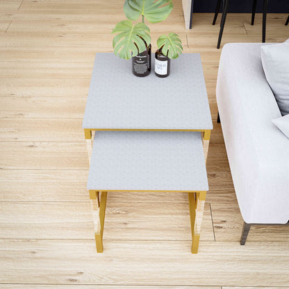 Cortesi Home Annidarsi Square Nesting Tables with Clear Acrylic Legs, Gold