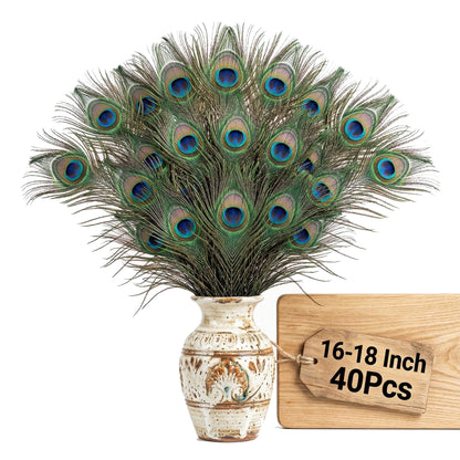 Lamar Peacock Feathers Bulk 16-18 Inch 40 Pcs Long Feathers with Large Eyes – Ultimate Bundle for Tall Vases, Wedding Centerpieces, Home Decor, Costumes, and DIY Crafts