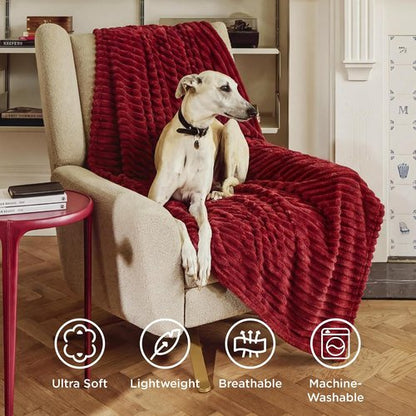 Bedsure GentleSoft Twin Blanket - Cozy Scarlet Sage Throw for Women | Soft & Stylish 66x90 Inches
