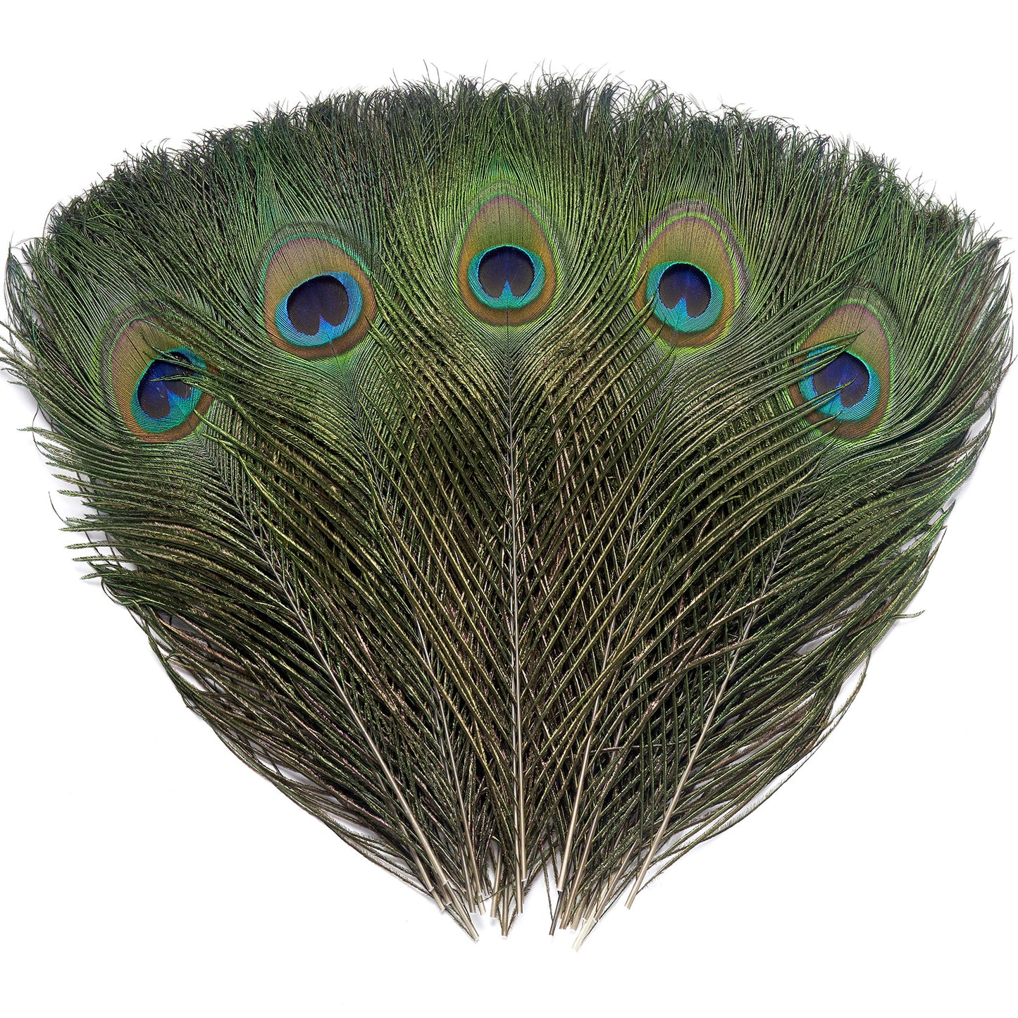 60 PCS Real Natural Peacock Eye Feathers 10-12 inch for DIY Craft, Wedding and Holiday Decorations