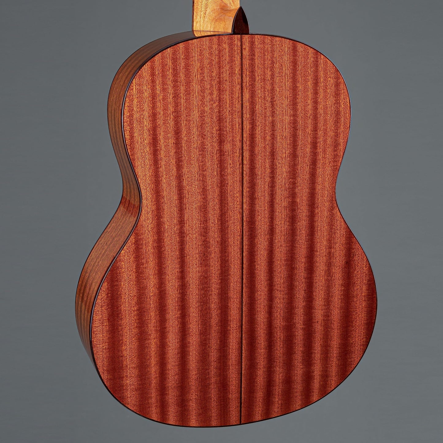 Cordoba C5 Classical w/Solid Cedar Top