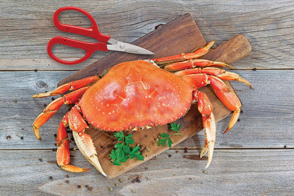 Japanese Stainless Steel Crab Scissors for Effortless Seafood Prep