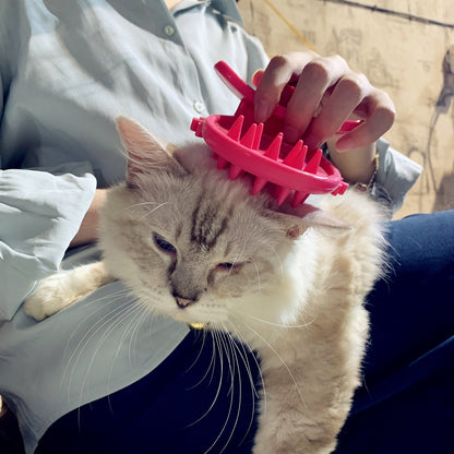 Cat Brush Shedding Grooming, Soft Massage Cat Tongue Brush, Licking Your Cat Like a Mama Cat to Comfort, Surprise Pet Gifts